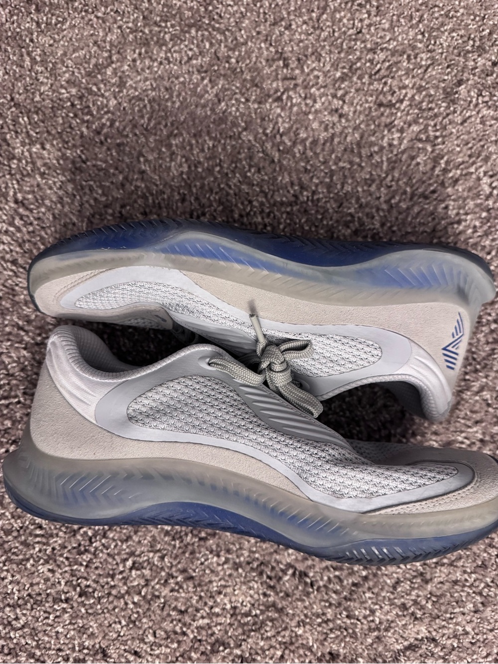 RAD Global Blue Performance Trainers